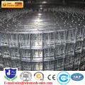 Best manufacturer hot sale welded mesh price 10x10